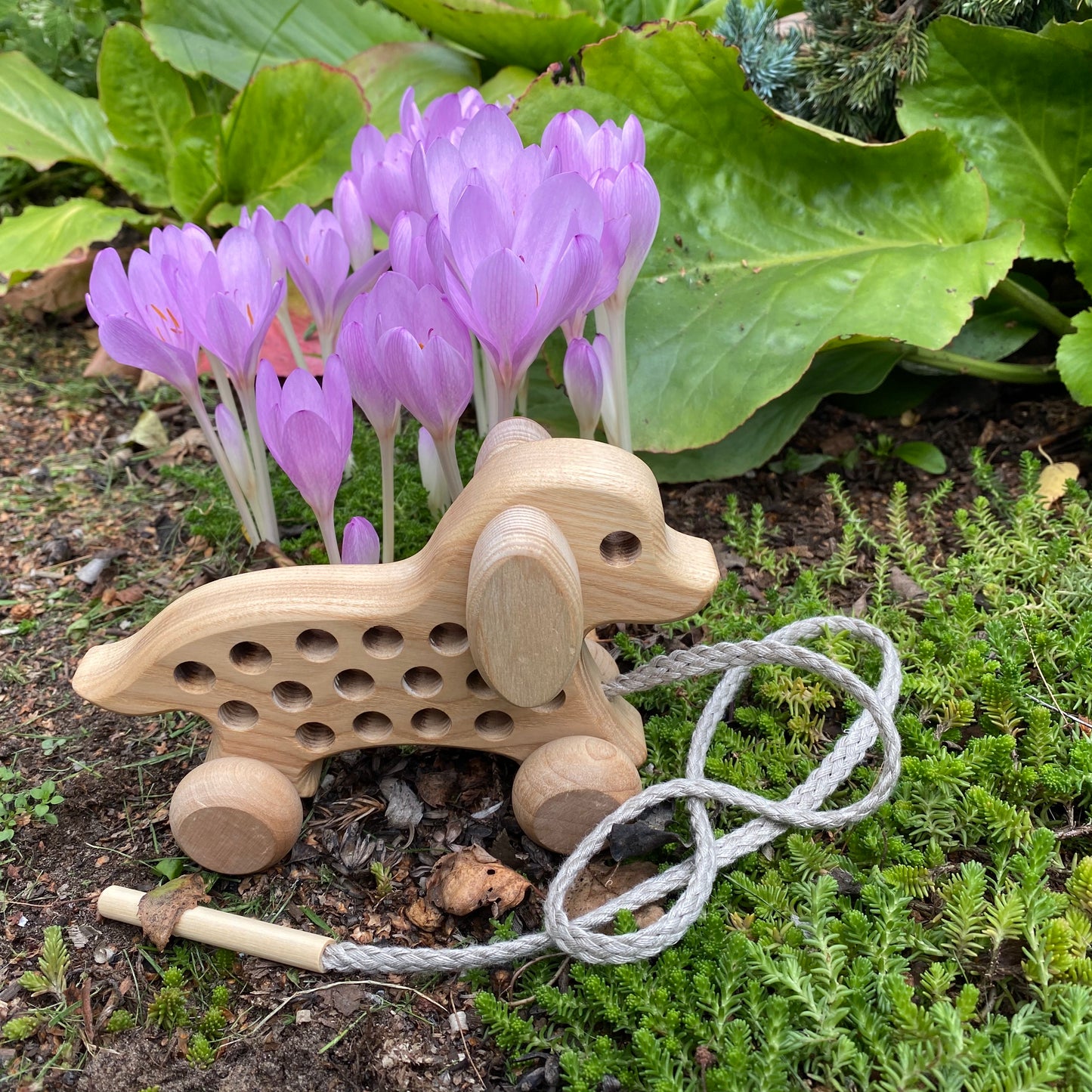 Lotes Toys Natural Wooden Threading Lacing Dog TT43