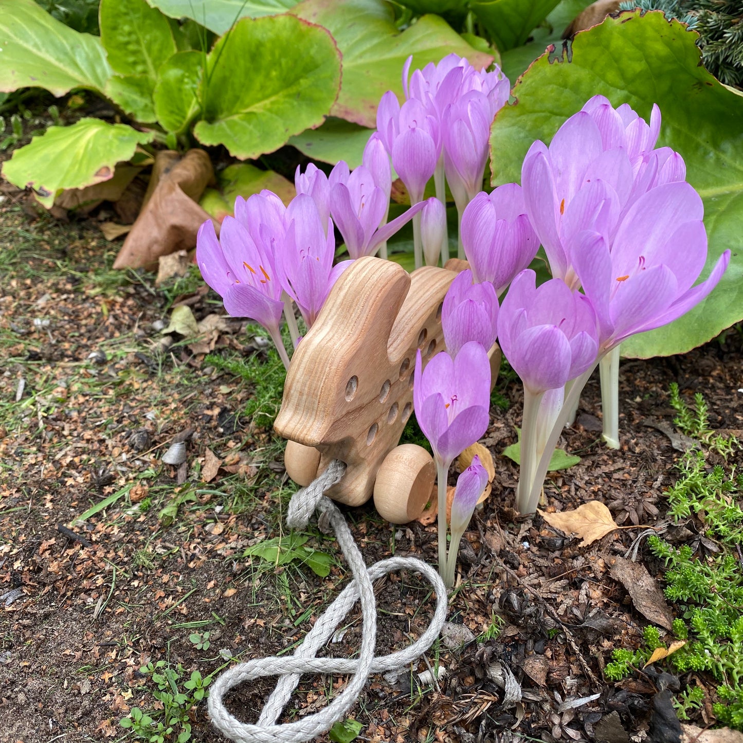 Lotes Toys Natural Wooden Threading Lacing Rabbit TT41
